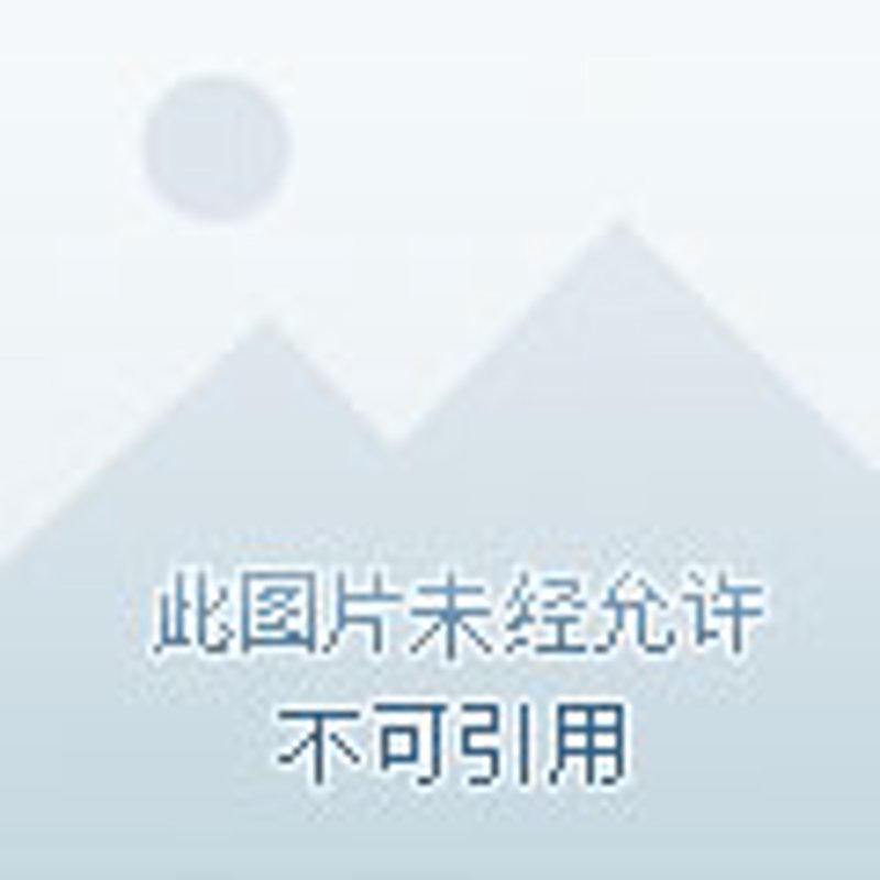 选购指南:如何轻松找到优质保定面粉批发